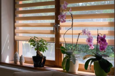 Plantation Blinds Installation in Boulder, CO