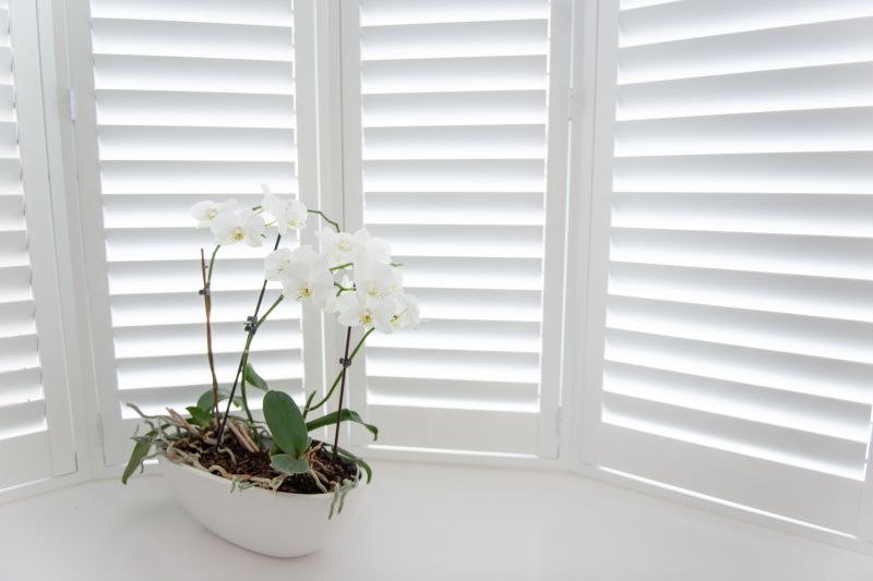 Shutter Mounting in Longmont, CO
